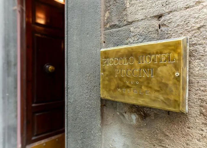 Piccolo Puccini Lucca